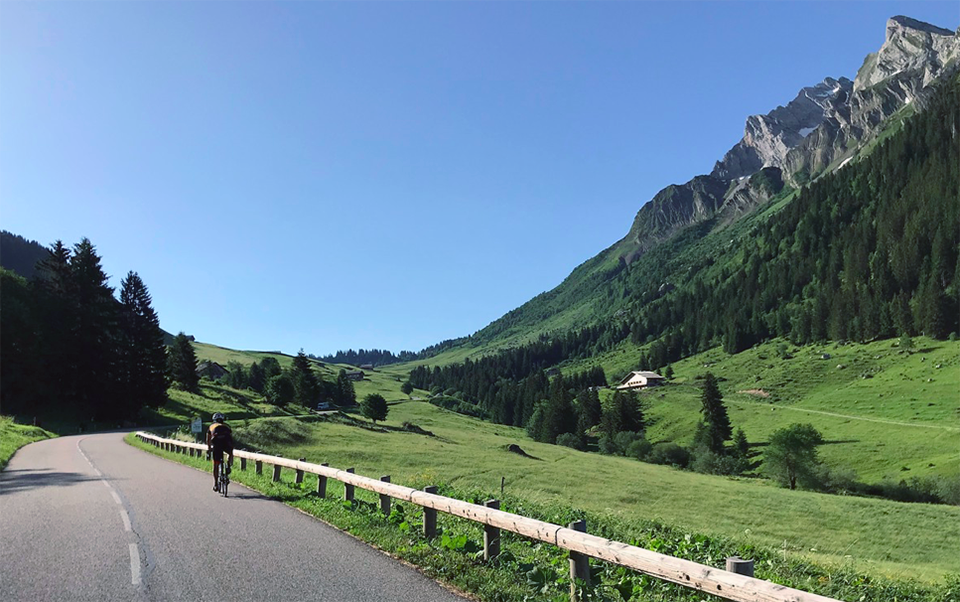 Alps Bike Tours