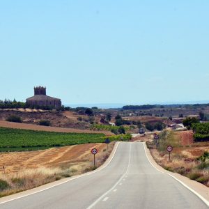 Ribera del Duero Bike Tours