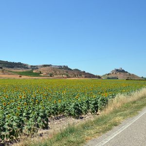 Bike Tour in Andalucia