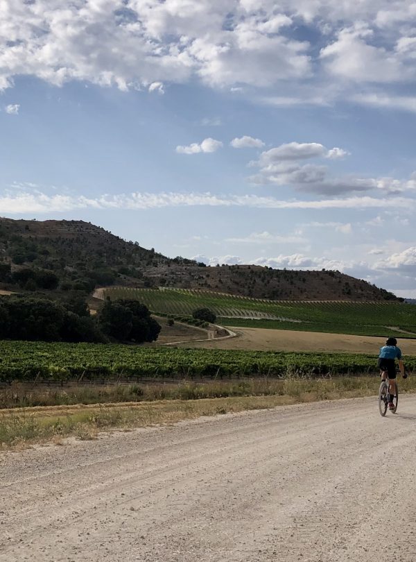 Ribera del Duero Gravel Bike Tours