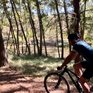 Ribera del Duero Bike Tours