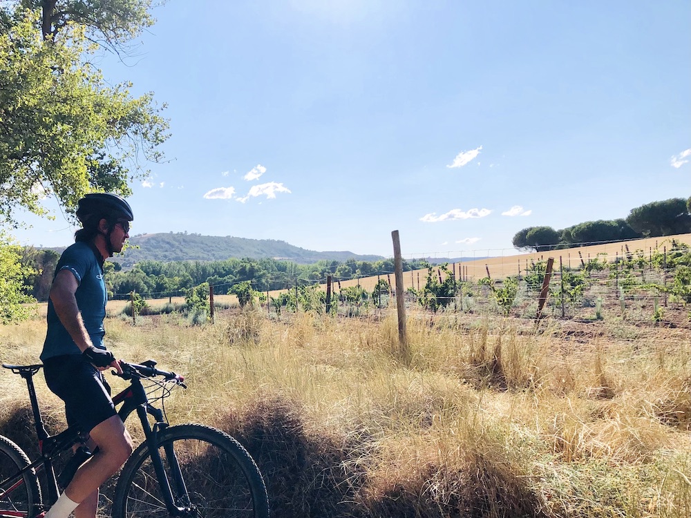 Mountain Bike Tours in la Ribera del Duero