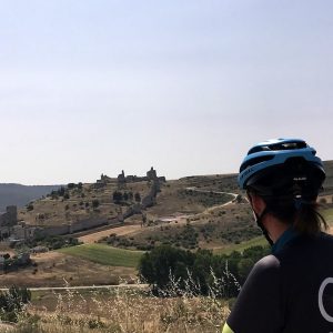 Ribera del Duero Mountain Bike Tour Self-Guided