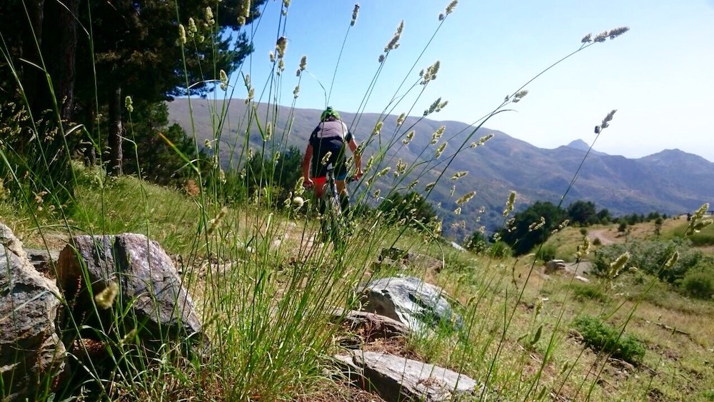 Mountain Bike in Sierra Nevada